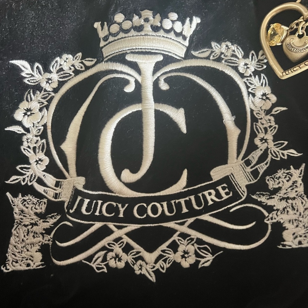Juicy Couture hobo bag